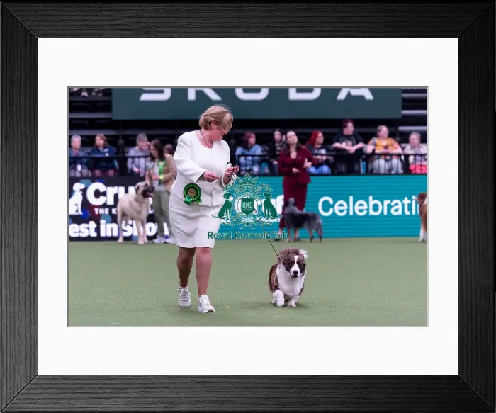Framed Print : Rachel Dijkhorst from Netherlands with Bob Framed Print : Rachel Dijkhorst from Netherlands with Bob