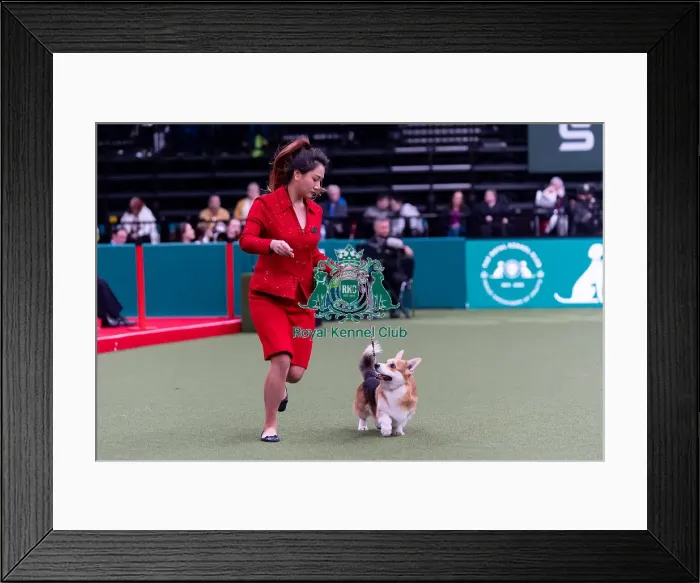 Framed Print : Jianin Xu from Spain with Moonie