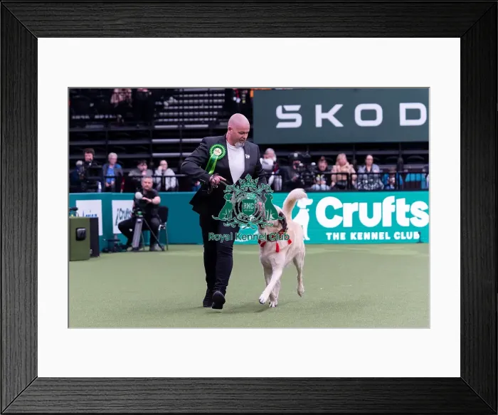 Framed Print : Tomas Wilkin from Willich, Germany with Wernero