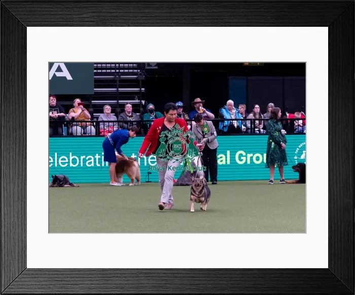 Framed Print : Ingela Johannesson from Sweden with Ecke