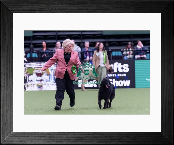 Framed Print : Sandra Smith from Llanelli, Wales with Lyra Framed Print : Sandra Smith from Llanelli, Wales with Lyra