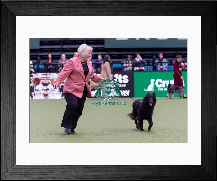 Framed Print : Sandra Smith from Llanelli, Wales with Lyra Framed Print : Sandra Smith from Llanelli, Wales with Lyra