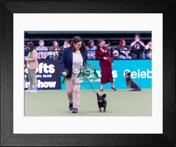 Framed Print : Wendy McBride from Bradford with Storm