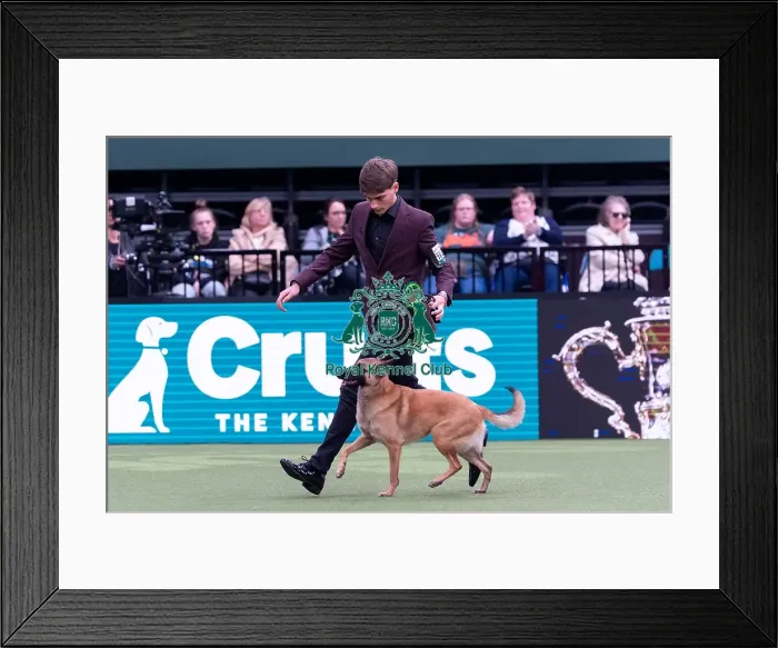 Framed Print : Isaac Preddy from Bristol with Arya Framed Print : Isaac Preddy from Bristol with Arya