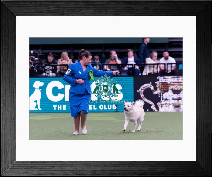 Framed Print : Adrienne Frost-Treadwell from County Cork Framed Print : Adrienne Frost-Treadwell from County Cork