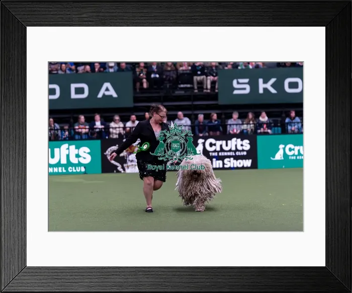 Framed Print : Anne Mari Kahkonen from Finland with Tara Framed Print : Anne Mari Kahkonen from Finland with Tara