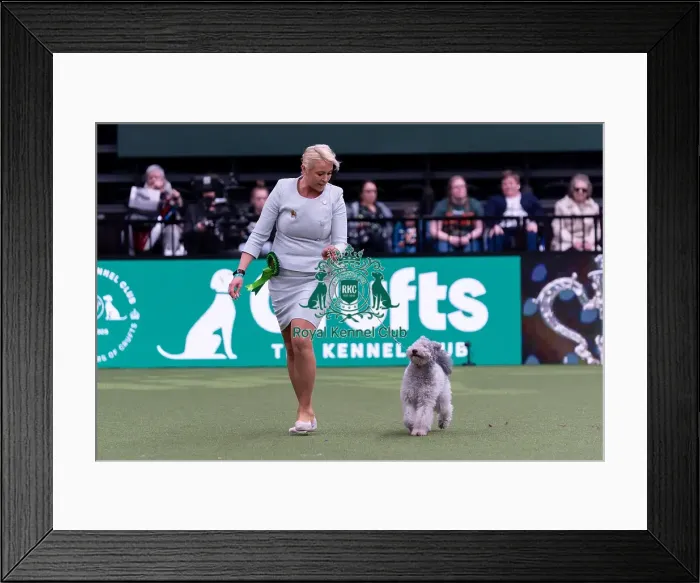 Framed Print : Kate Kazosc from Poland with Hanka a Hungarian Pumi