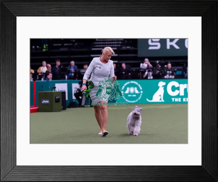 Framed Print : Kate Kazosc from Poland with Hanka a Hungarian Pumi Framed Print : Kate Kazosc from Poland with Hanka a Hungarian Pumi