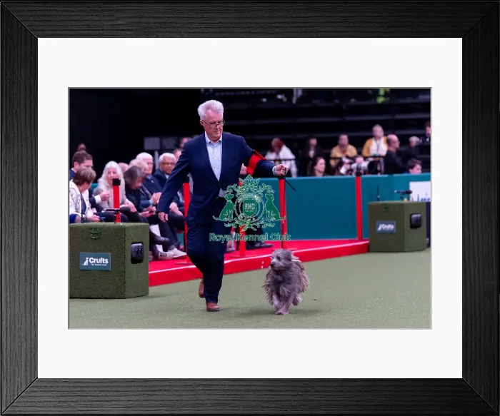 Framed Print : Elon Flint from North Yorkshire with Tiggi Framed Print : Elon Flint from North Yorkshire with Tiggi