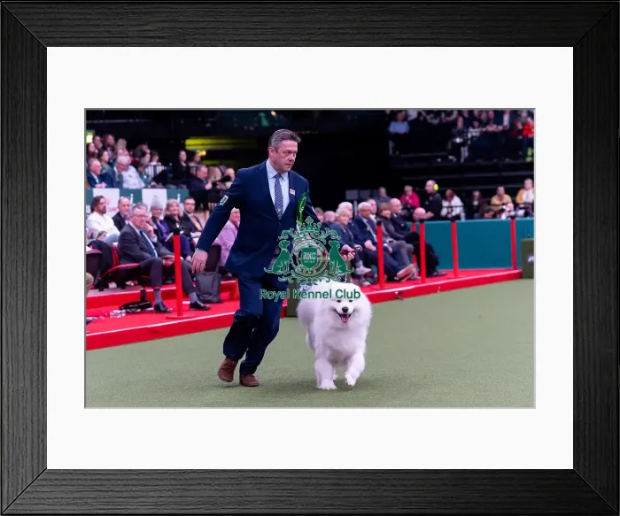 Framed Print : Brian Jebson from Rotherham, South Yorkshire with Fig Framed Print : Brian Jebson from Rotherham, South Yorkshire with Fig