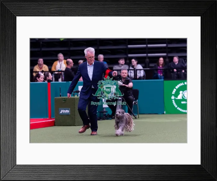 Framed Print : Elon Flint from North Yorkshire with Tiggi