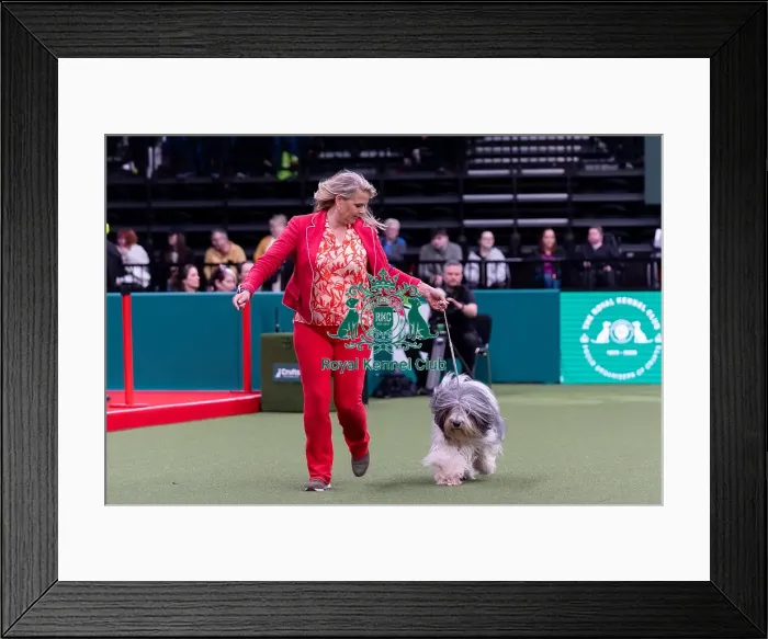 Framed Print : Alisa Klliper from Holland with Zarek