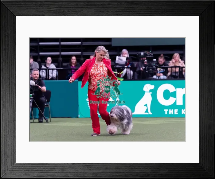 Framed Print : Alisa Klliper from Holland with Zarek Framed Print : Alisa Klliper from Holland with Zarek