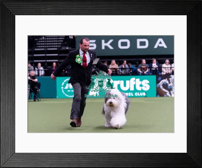 Framed Print : Rafal Rogala from Kilarney, Ireland Framed Print : Rafal Rogala from Kilarney, Ireland