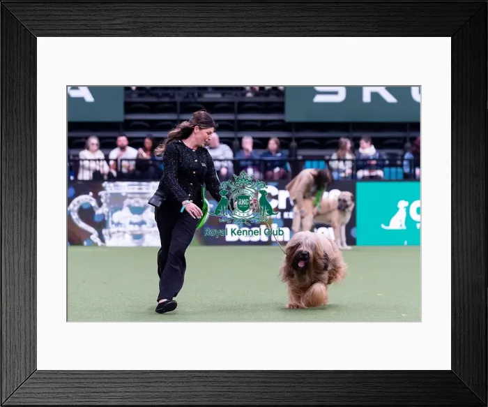 Framed Print : Nikki Rual-Keogh from Cardiff, Wales with Wolfie Framed Print : Nikki Rual-Keogh from Cardiff, Wales with Wolfie
