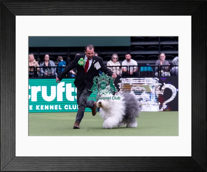 Framed Print : Rafal Rogala from Kilarney, Ireland Framed Print : Rafal Rogala from Kilarney, Ireland