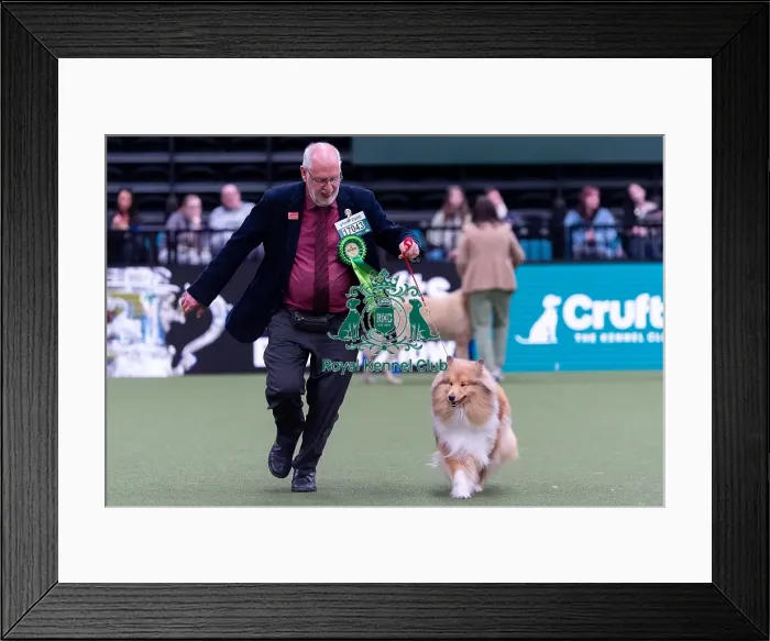 Framed Print : Robert Shipp from Swindon with Issie