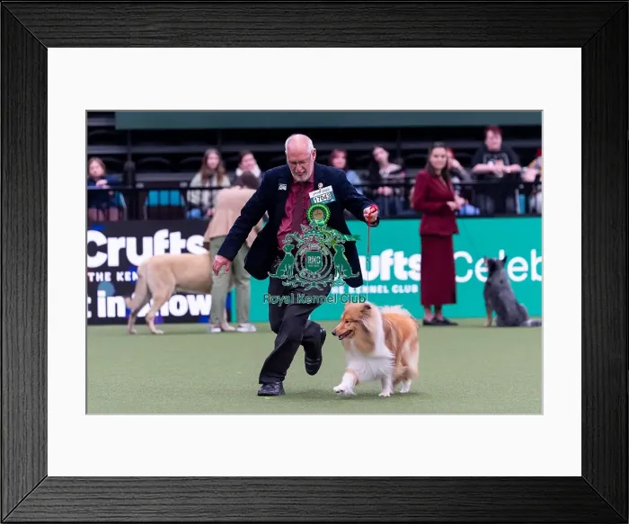 Framed Print : Robert Shipp from Swindon with Issie