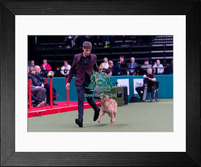 Framed Print : Isaac Preddy from Bristol with Arya Framed Print : Isaac Preddy from Bristol with Arya