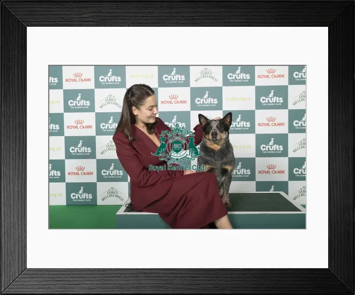 Framed Print : Valaria Likina from Poland with Chip Framed Print : Valaria Likina from Poland with Chip
