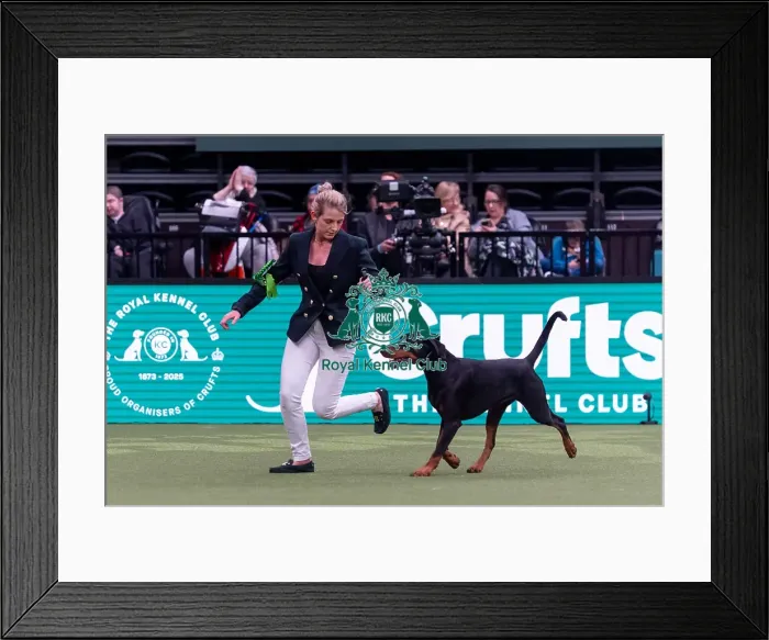 Framed Print : Sam Jones from Chippenham, Wiltshire with Alvin Framed Print : Sam Jones from Chippenham, Wiltshire with Alvin