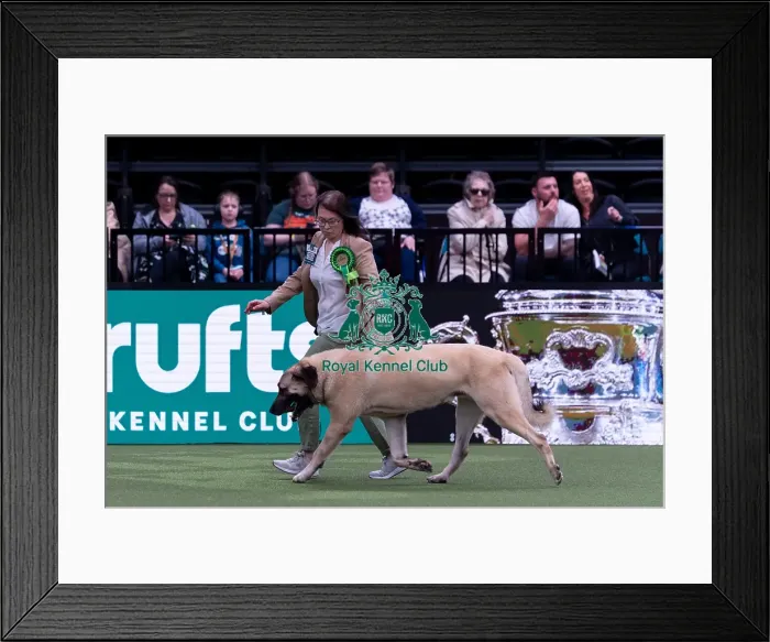 Framed Print : Kelly Stewart from Law Village Framed Print : Kelly Stewart from Law Village