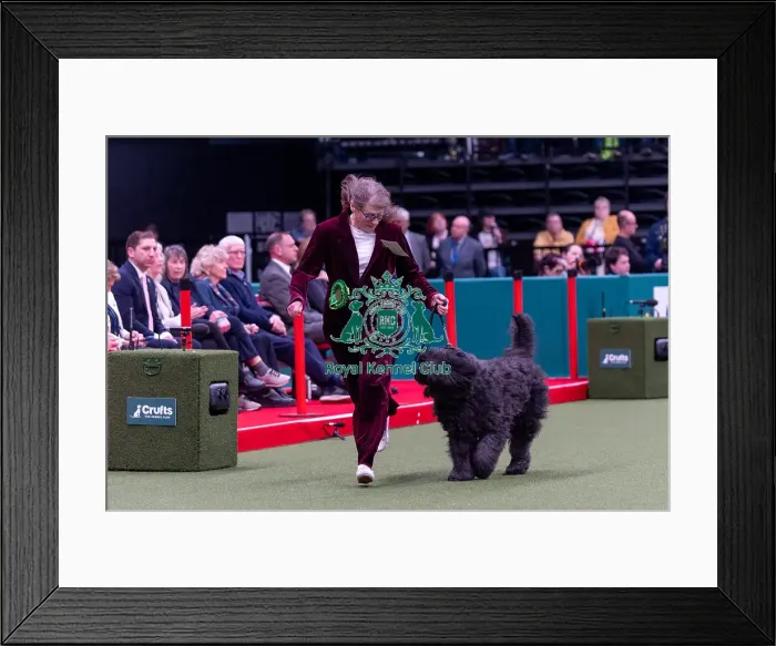 Framed Print : Lee Nichols from Ipswich, Suffolk Framed Print : Lee Nichols from Ipswich, Suffolk