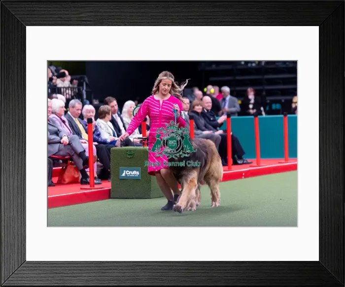 Framed Print : Lauren Whan from Antrim, Northern Ireland with Storm