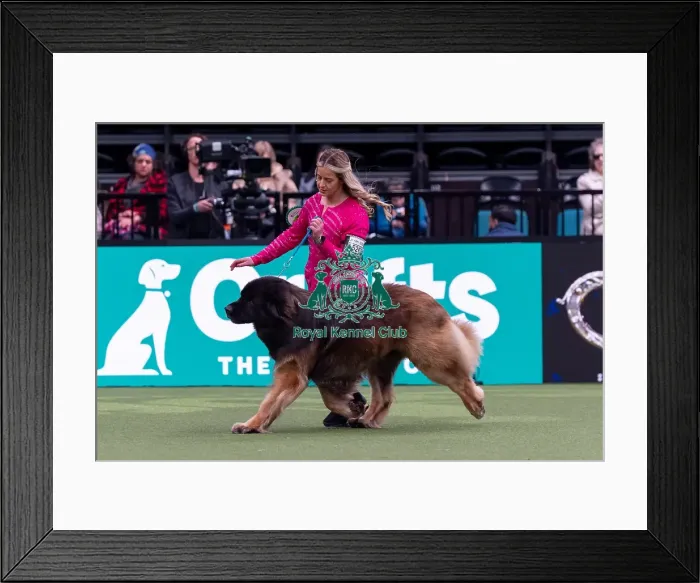 Framed Print : Lauren Whan from Antrim, Northern Ireland with Storm