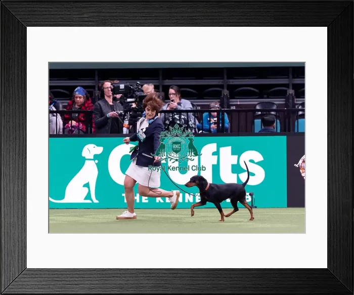 Framed Print : Anne Bazot-Bourrouz from Les Yvelines Framed Print : Anne Bazot-Bourrouz from Les Yvelines