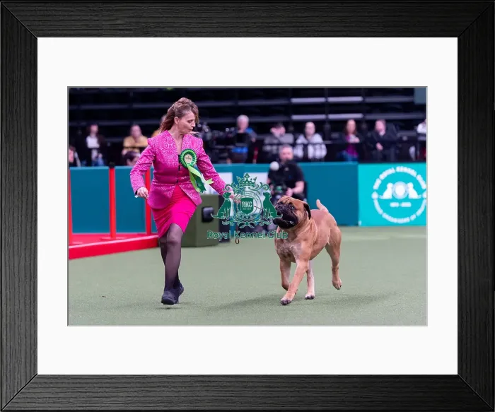 Framed Print : Francesca Pavesi from Palma, Italy with Ron Framed Print : Francesca Pavesi from Palma, Italy with Ron