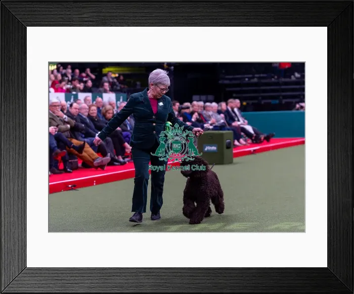 Framed Print : Judith Carruthers from Wigton, Cumbria with Katie Framed Print : Judith Carruthers from Wigton, Cumbria with Katie