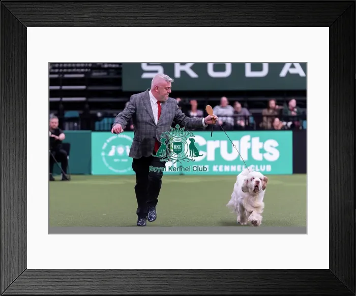 Framed Print : Mr L As Cox with Sh Ch Vanitonia Soloist Framed Print : Mr L As Cox with Sh Ch Vanitonia Soloist