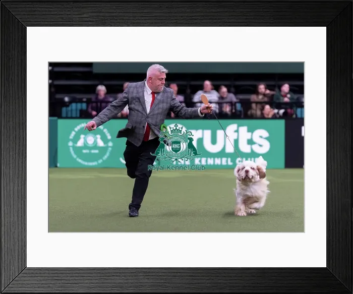 Framed Print : Mr L As Cox with Sh Ch Vanitonia Soloist Framed Print : Mr L As Cox with Sh Ch Vanitonia Soloist
