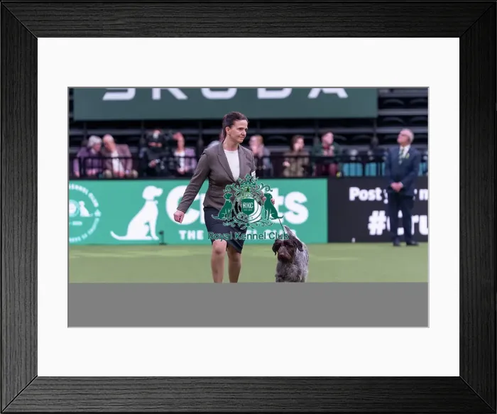 Framed Print : Evi Bloemen from Herselt, Belgium with Vive