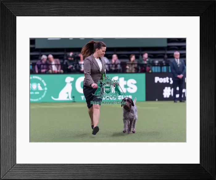 Framed Print : Evi Bloemen from Herselt, Belgium with Vive Framed Print : Evi Bloemen from Herselt, Belgium with Vive