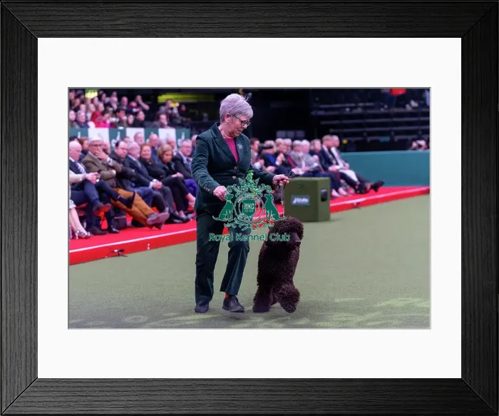 Framed Print : Judith Carruthers from Wigton, Cumbria with Katie Framed Print : Judith Carruthers from Wigton, Cumbria with Katie