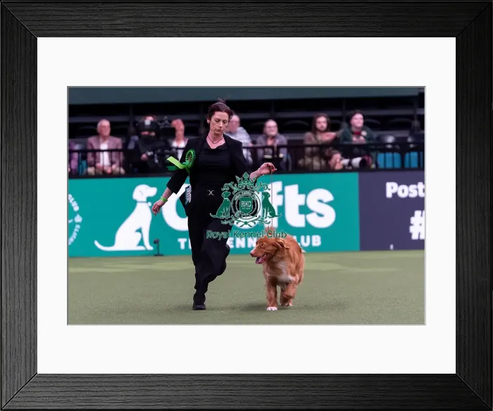 Framed Print : Michelle Elkin from Kings Langley with Quentin Framed Print : Michelle Elkin from Kings Langley with Quentin