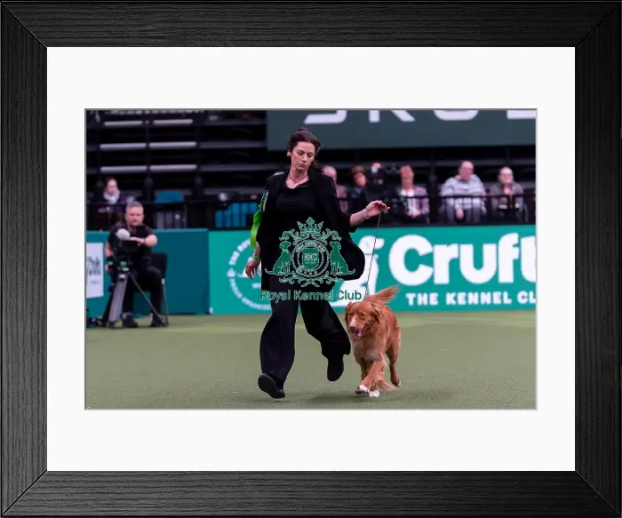 Framed Print : Michelle Elkin from Kings Langley with Quentin