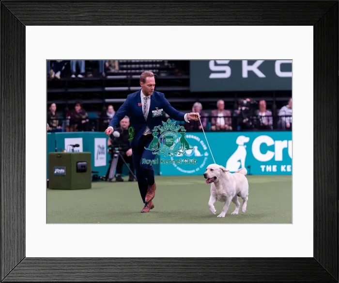Framed Print : Sander Nugteren from Roterdam, Holland with Blue Framed Print : Sander Nugteren from Roterdam, Holland with Blue