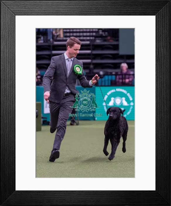 Framed Print : Jostein Thyegesn from Oslo, Norway with Karo Framed Print : Jostein Thyegesn from Oslo, Norway with Karo