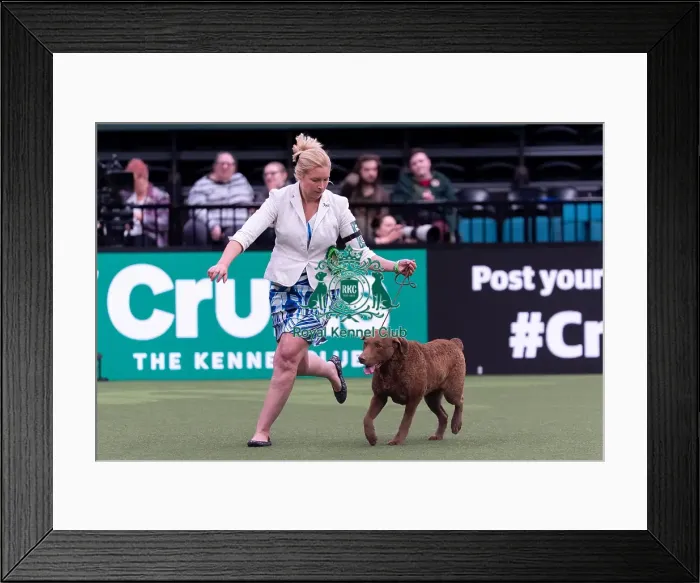 Framed Print : Joy Middleton from Great Bookham Framed Print : Joy Middleton from Great Bookham