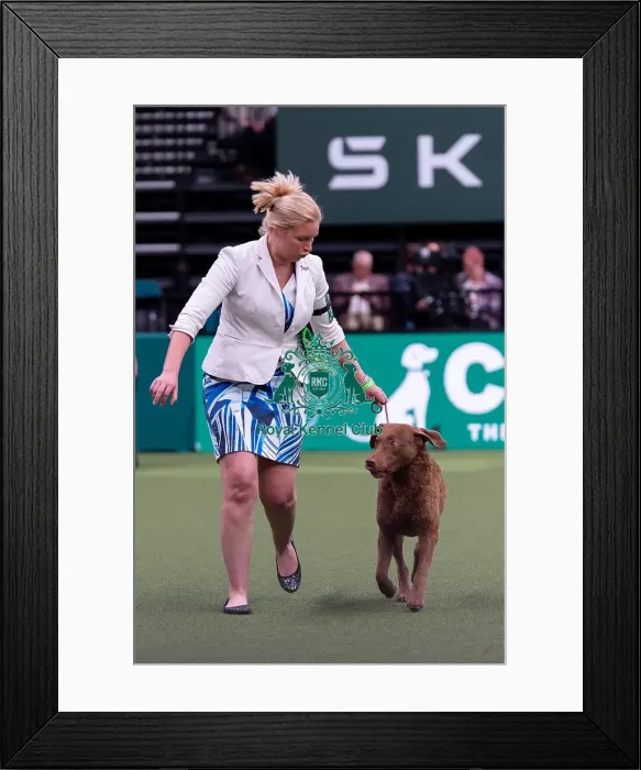 Framed Print : Joy Middleton from Great Bookham Framed Print : Joy Middleton from Great Bookham