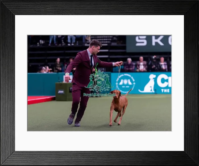 Framed Print : Bence Kantor from Buddhakalasz