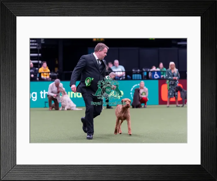 Framed Print : Alastair Moss from Burscough, Lancashire with Ozzy