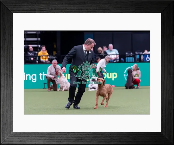 Framed Print : Alastair Moss from Burscough, Lancashire with Ozzy Framed Print : Alastair Moss from Burscough, Lancashire with Ozzy