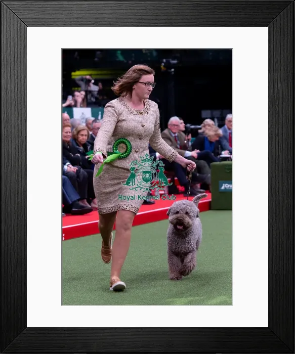 Framed Print : Amber Becker from Kentucky, USA with Chip