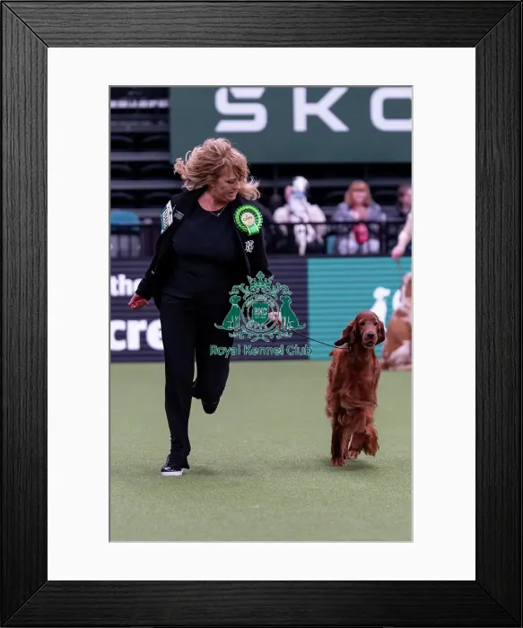 Framed Print : Sue Edwards from Eversley, Hampshire with Keira Framed Print : Sue Edwards from Eversley, Hampshire with Keira