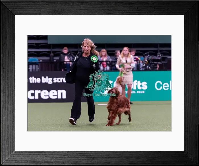 Framed Print : Sue Edwards from Eversley, Hampshire with Keira Framed Print : Sue Edwards from Eversley, Hampshire with Keira
