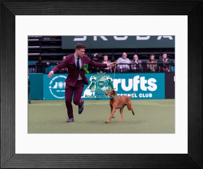 Framed Print : Bence Kantor from Buddhakalasz Framed Print : Bence Kantor from Buddhakalasz